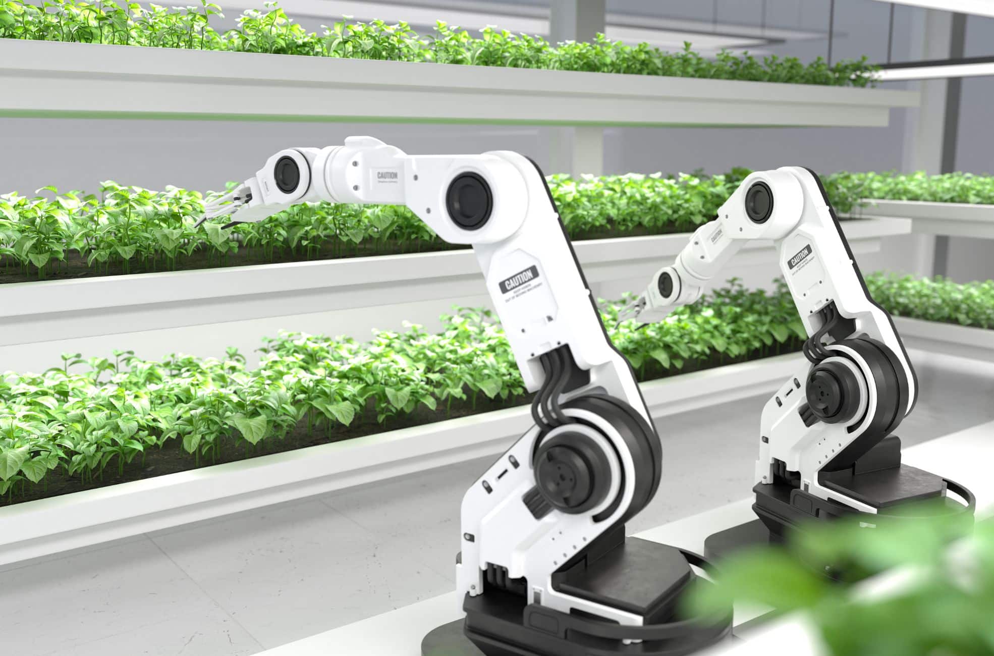 Agritech Robots In Greenhouse