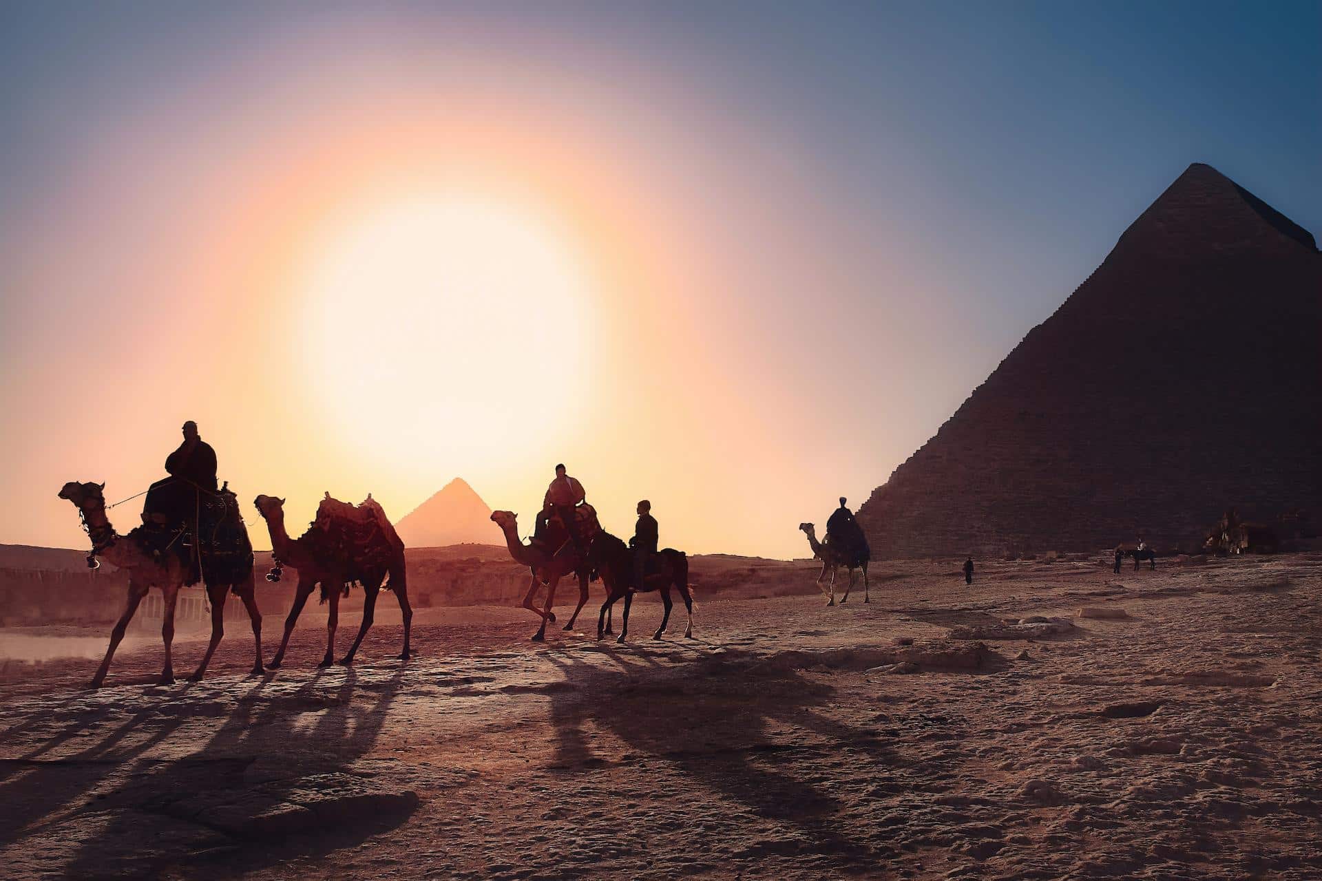 Five people riding camels on the sand in Egypt.