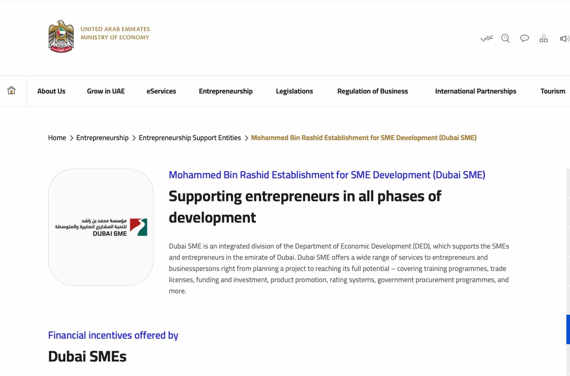 Screenshot Of Emiratisation On UAE Government Website