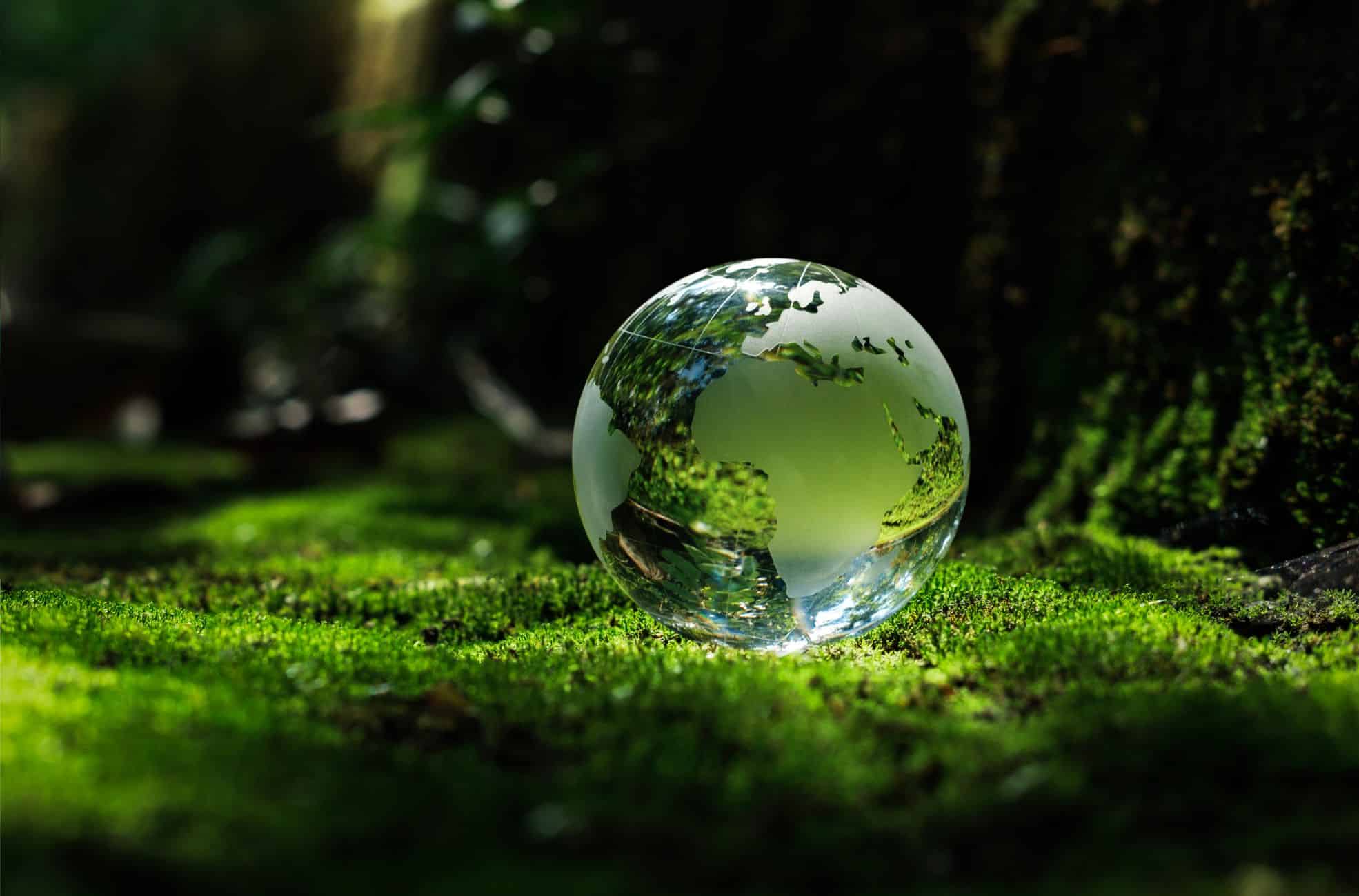 Green Globe