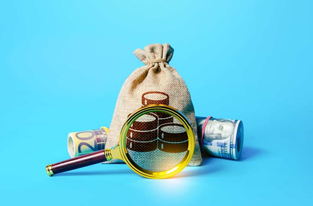 Bag of money with a magnifying glass