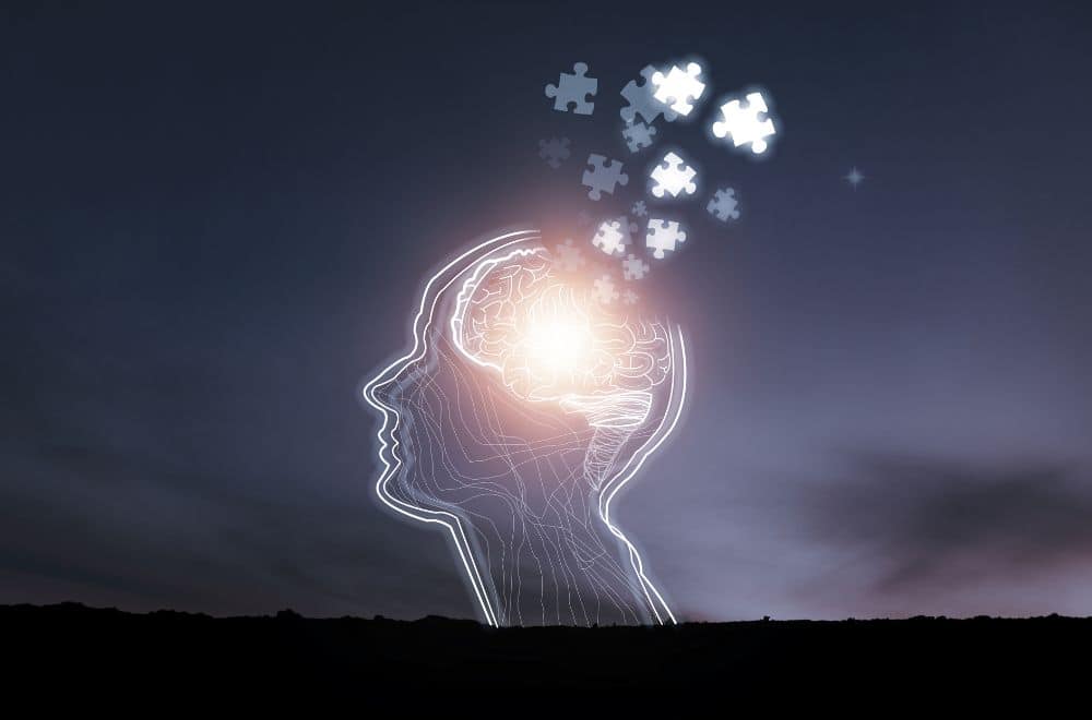 Outline Of Head With Puzzle Pieces