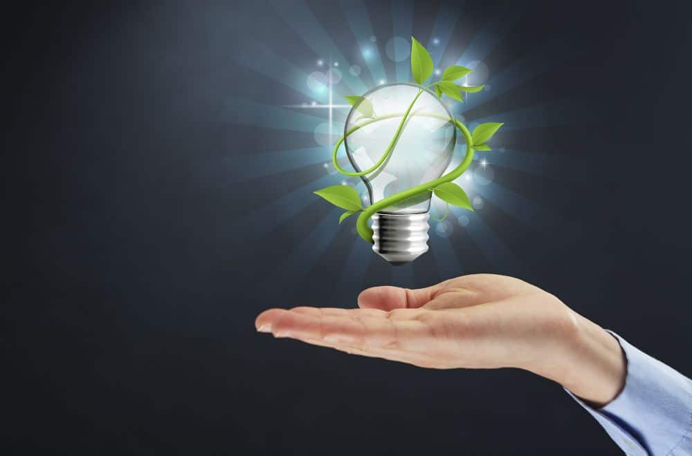 Hand Holding Lightbulb With Plant