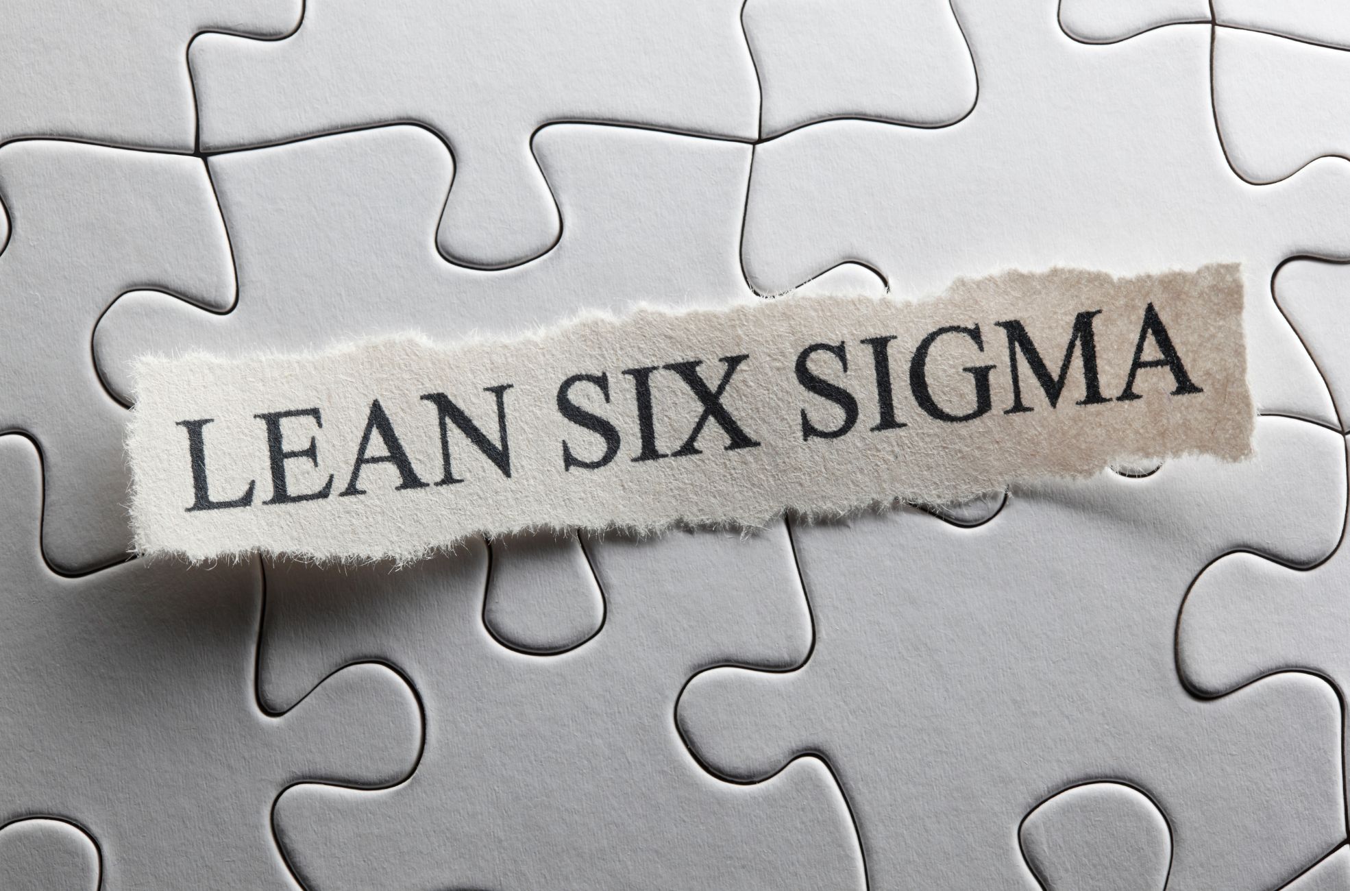 Puzzle Pieces With Title Of "Lean Six Sigma"