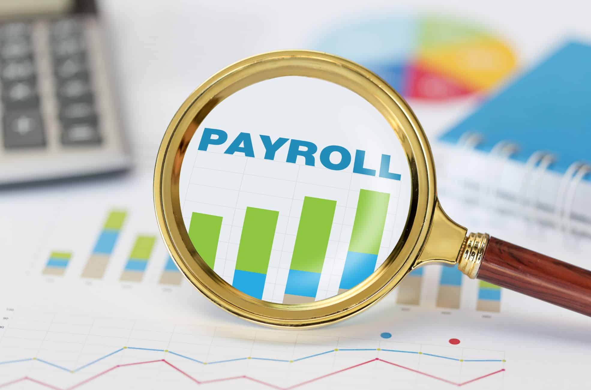 Word Payroll Under Microscope
