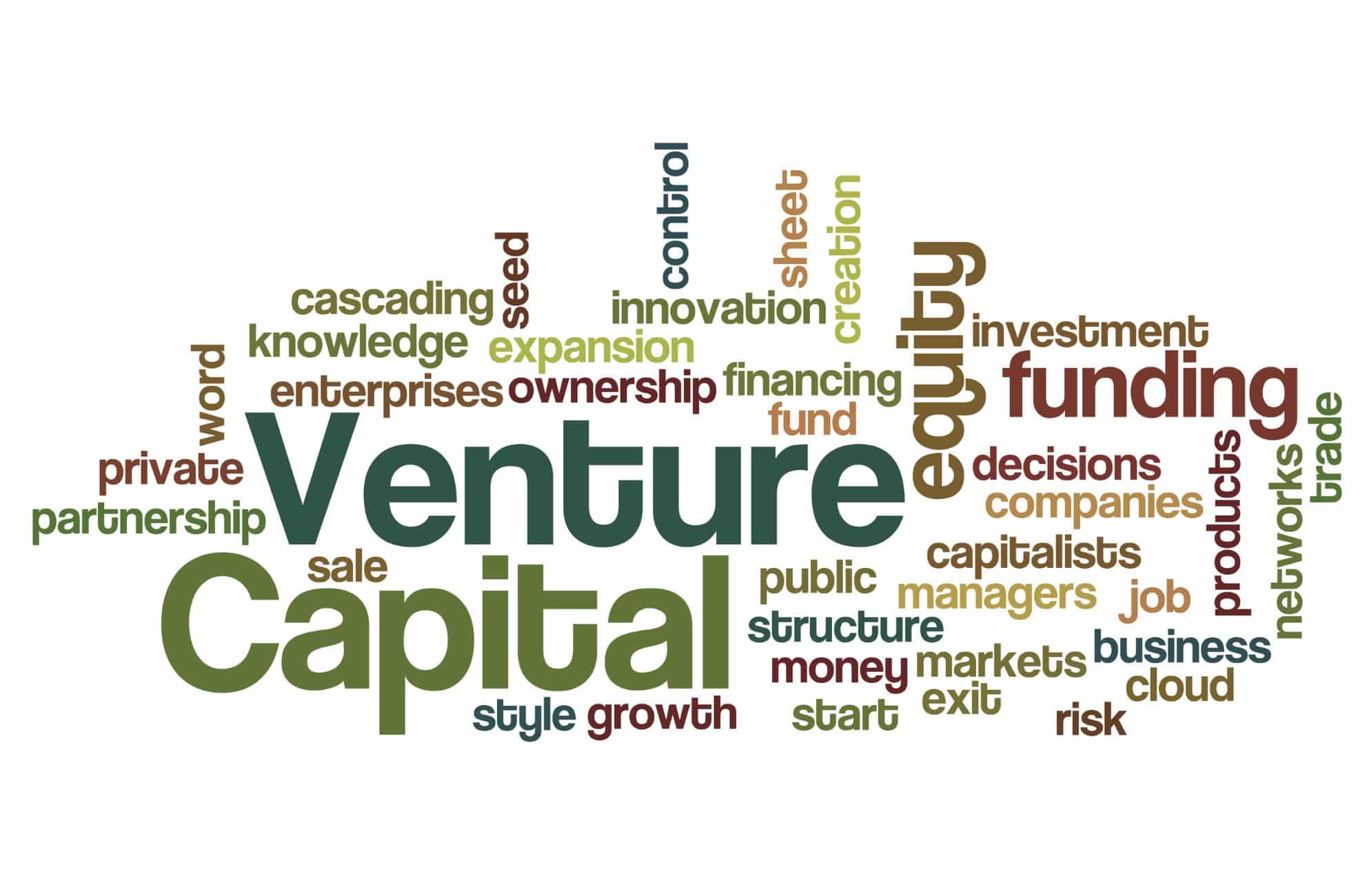 Venture Capital Word Art