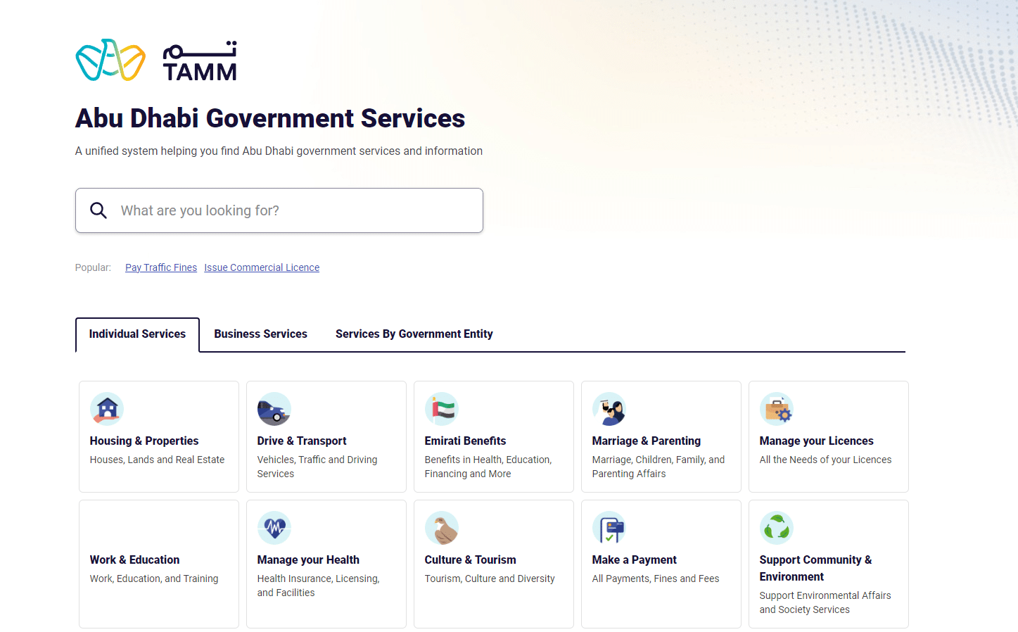 An image of TAMM- government services.
