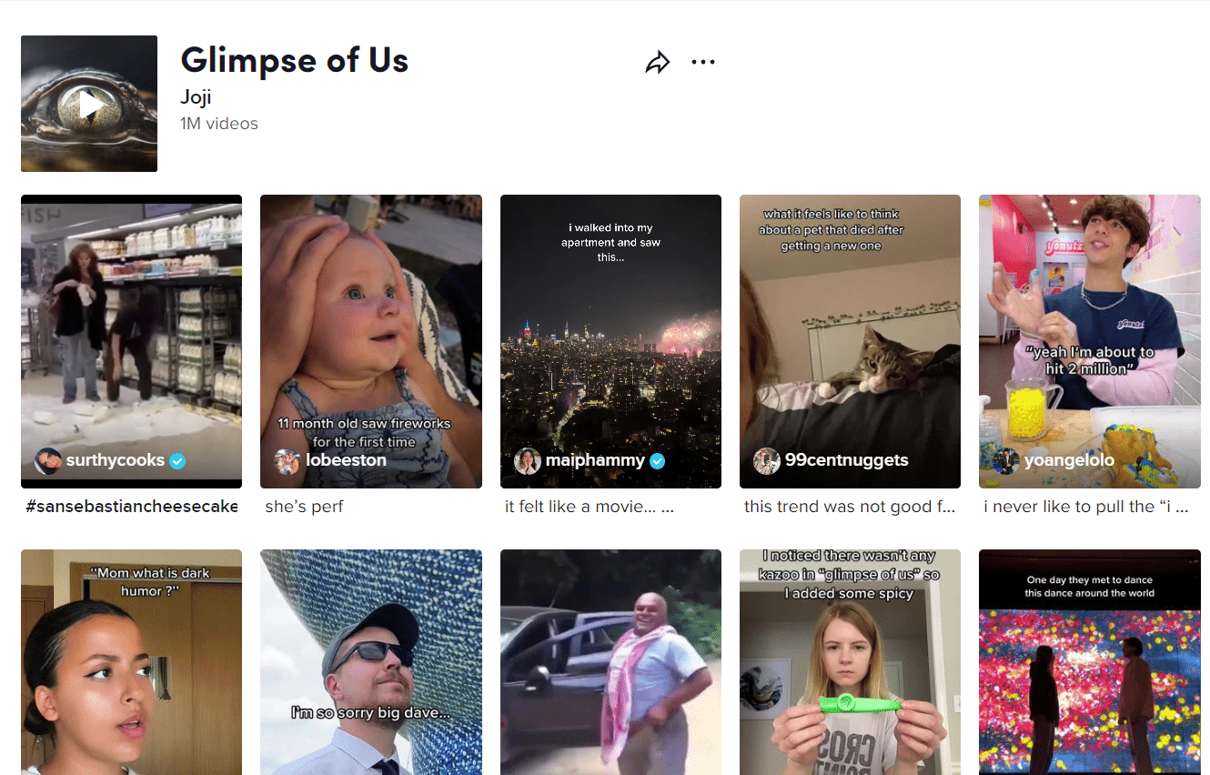 A screenshot of a tiktok account.